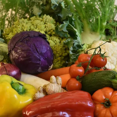 Del Buono Wellness & Medical
